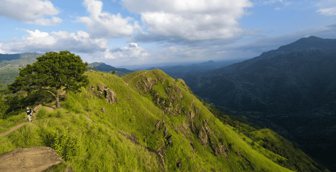 Panoramic view from the cloud-covered Little Adam's Peak in Ella, Sri Lanka, showcasing lush green hills and winding trails.