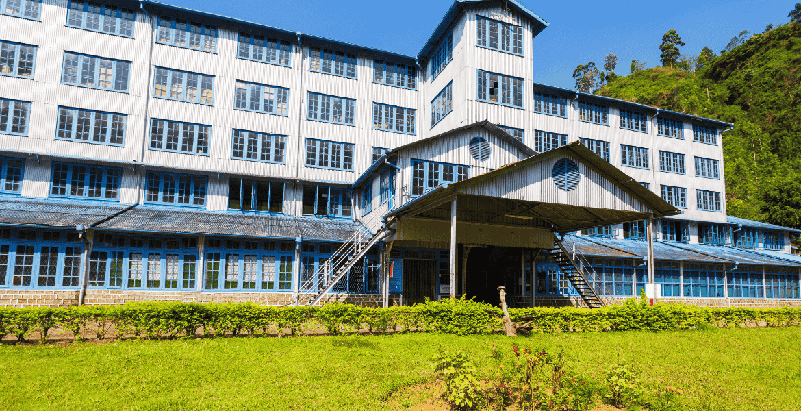 A traditional tea factory in Ella, Sri Lanka, processing freshly plucked tea leaves surrounded by lush green plantations and misty hills.
